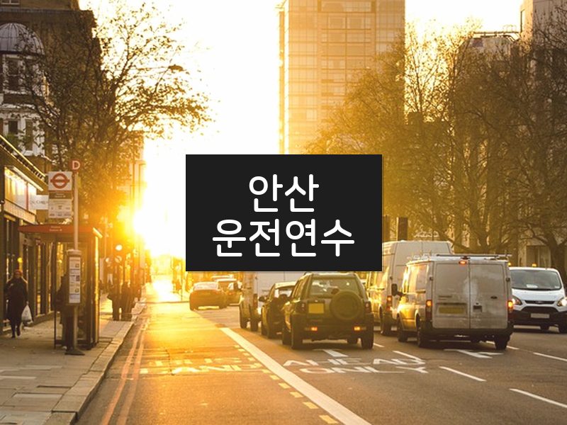 안산운전연수 후기