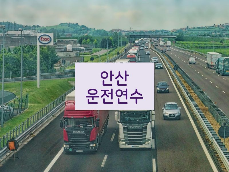 안산운전연수 후기