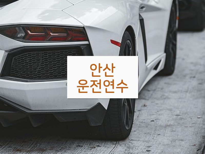 안산운전연수 후기