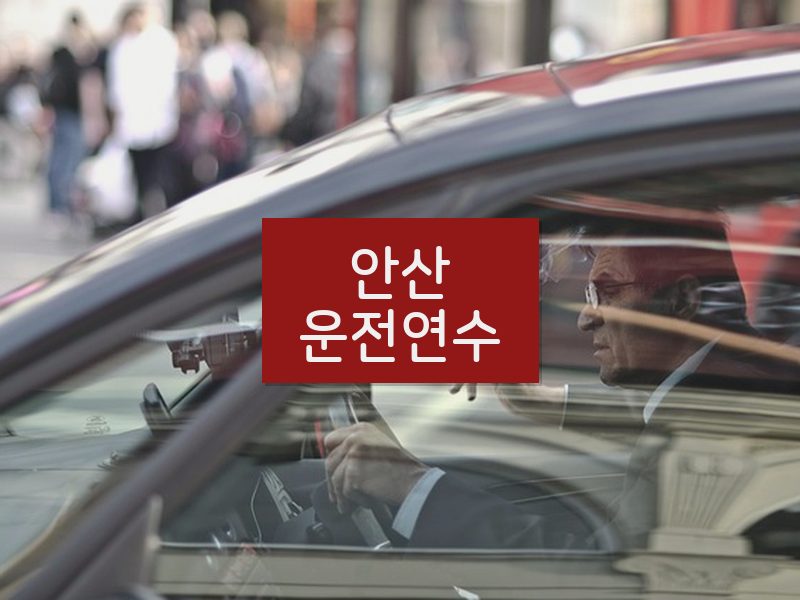 안산운전연수 후기