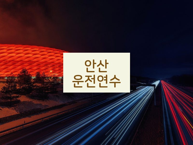 안산운전연수 후기