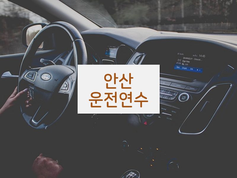안산운전연수 후기