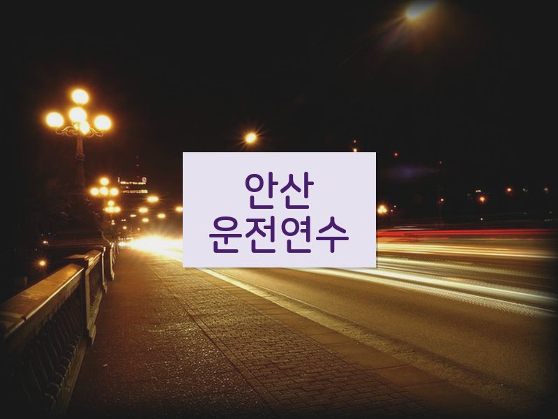 안산운전연수 후기