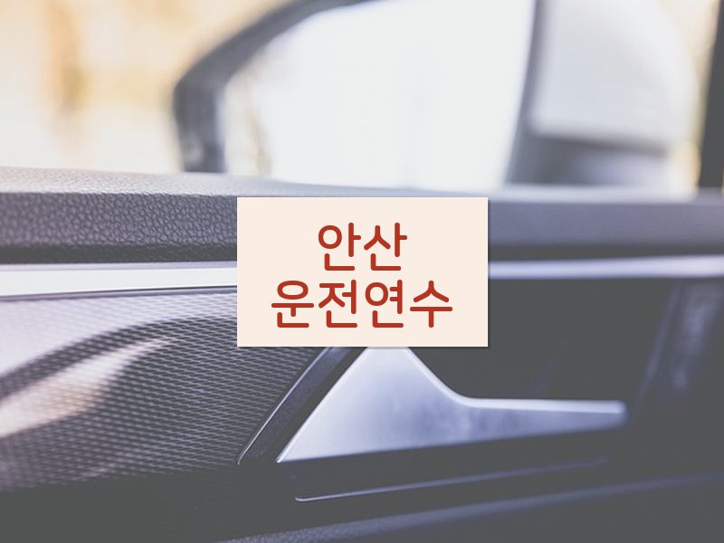 안산운전연수 후기