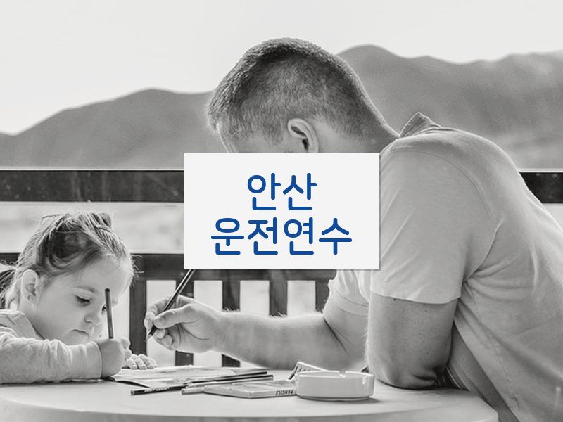 안산운전연수 후기
