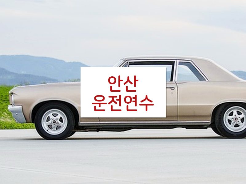안산운전연수 후기