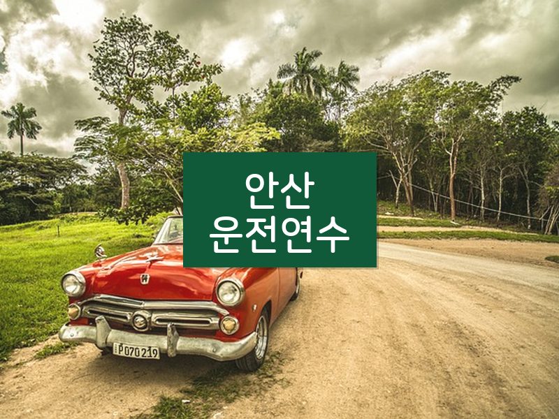 안산운전연수 후기