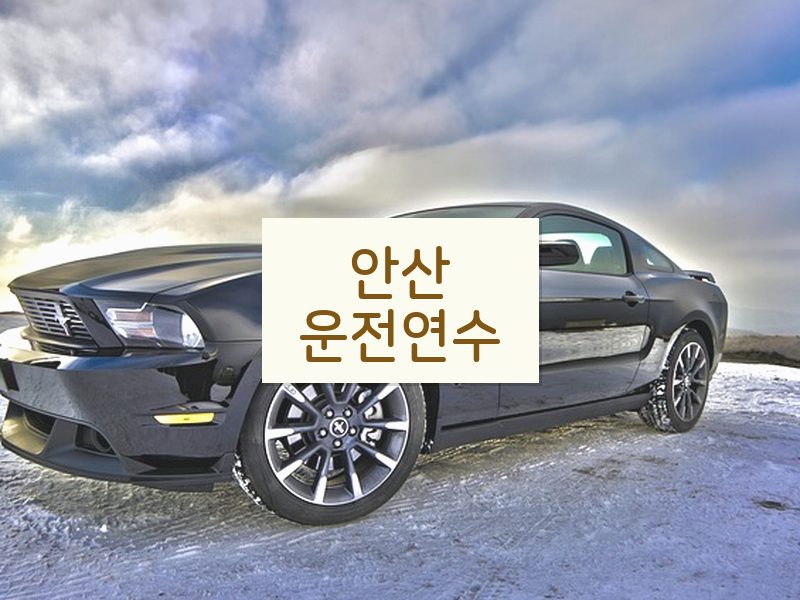 안산운전연수 후기