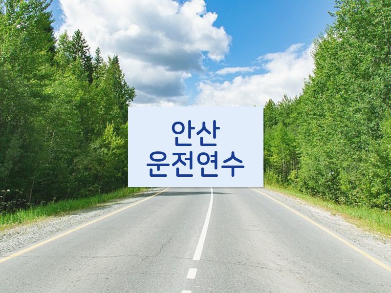 안산운전연수 후기