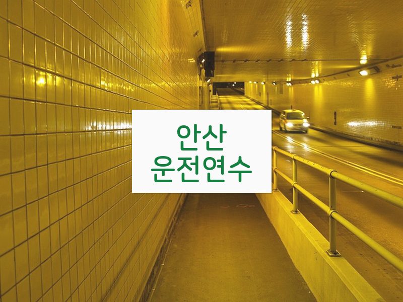 안산운전연수 후기