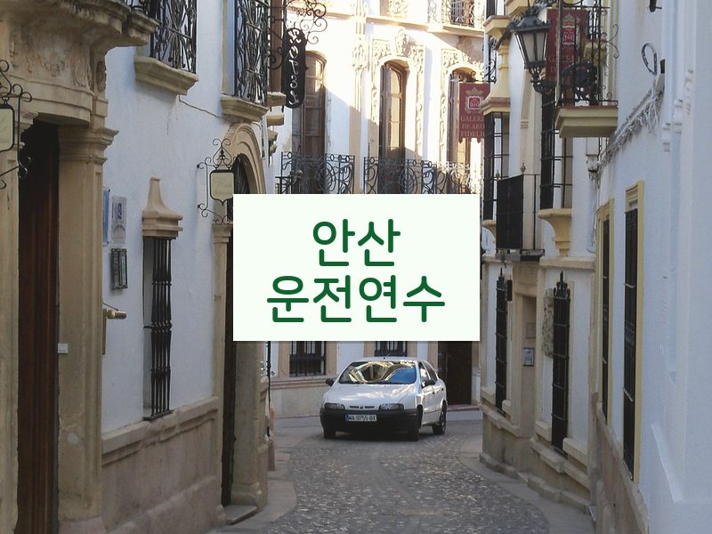 안산운전연수 후기