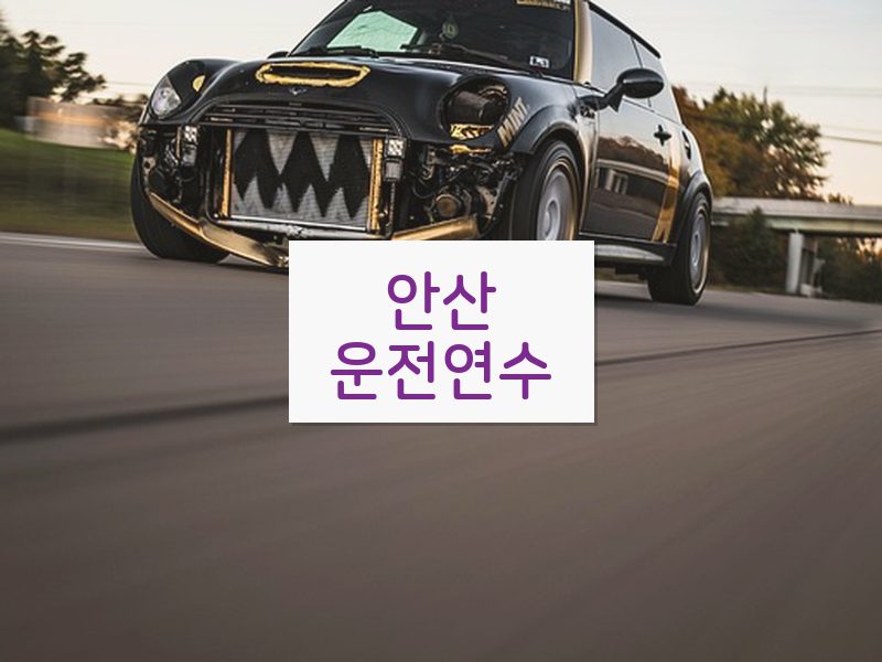 안산운전연수 후기