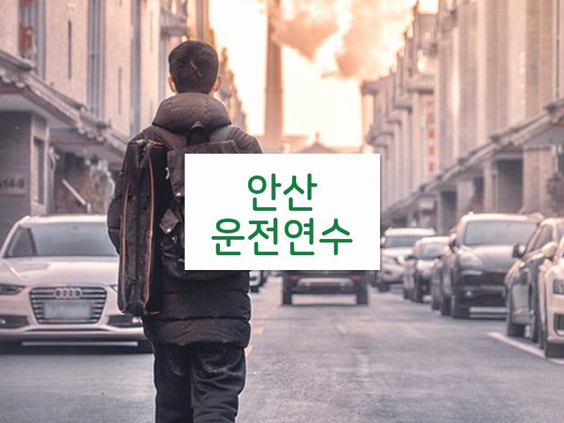 안산운전연수 후기