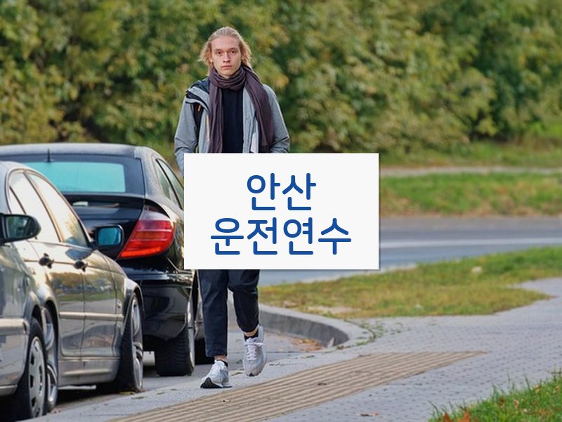 안산운전연수 후기