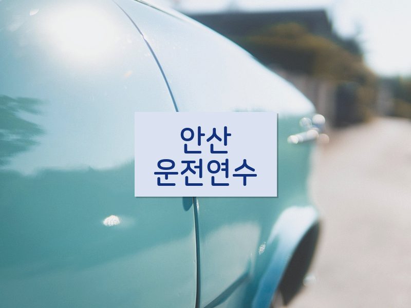 안산운전연수 후기