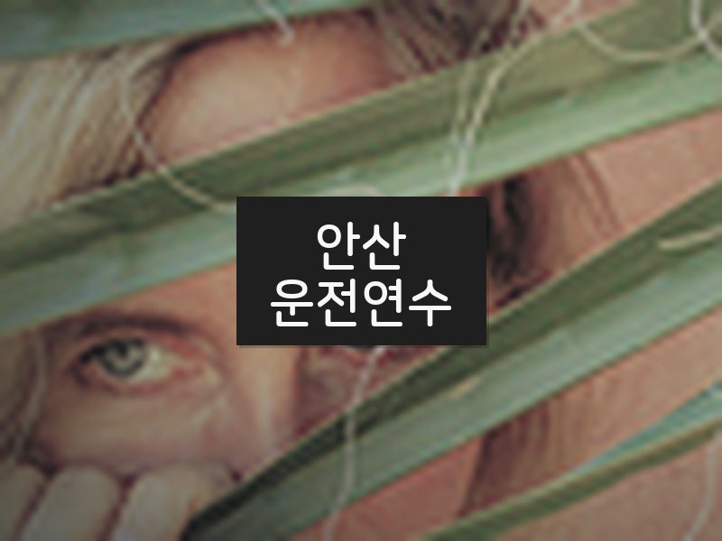 안산운전연수 후기