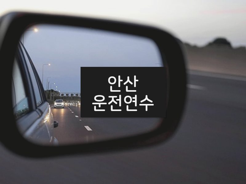안산운전연수 후기
