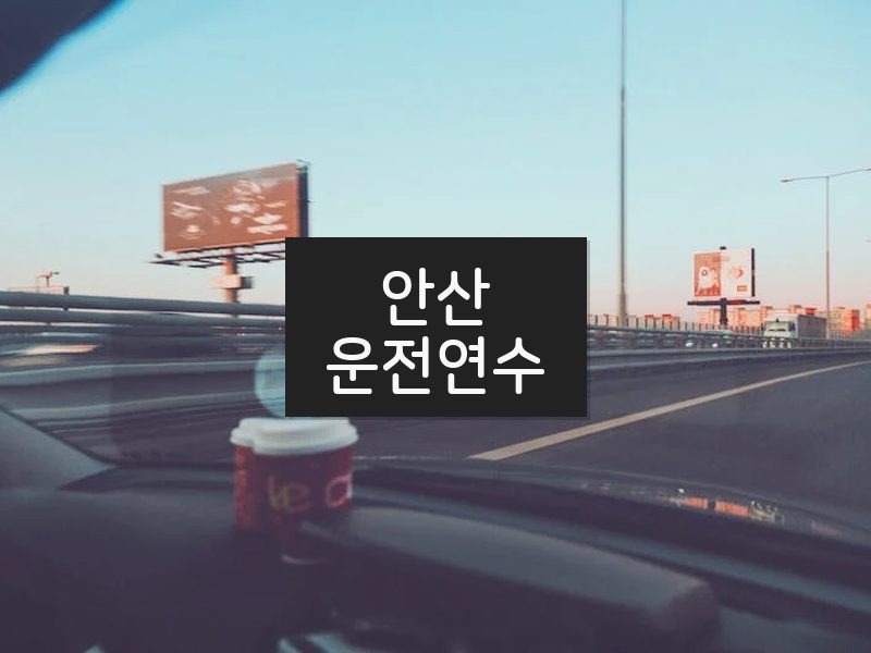 안산운전연수 후기
