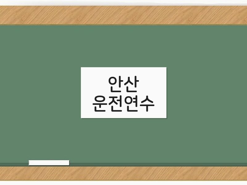 안산운전연수 후기