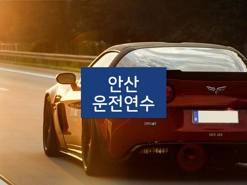 안산운전연수 후기