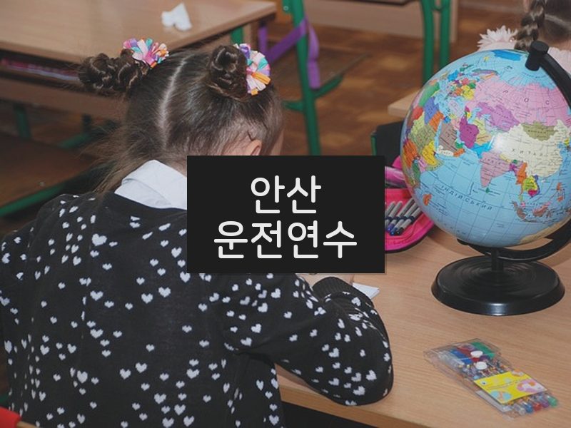 안산운전연수 후기