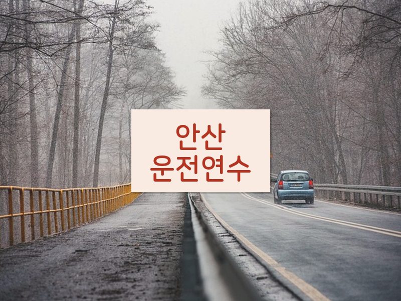 안산운전연수 후기