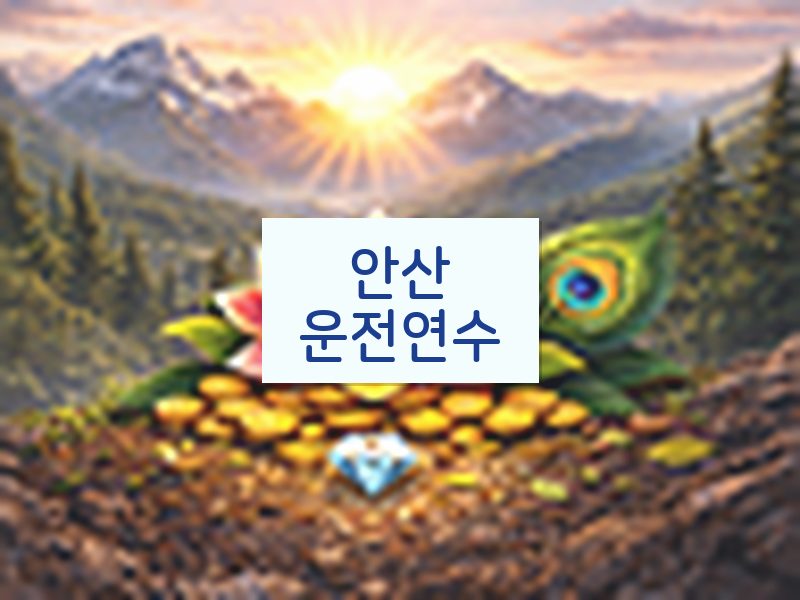 안산운전연수 후기