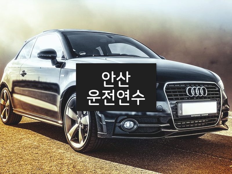 안산운전연수 후기