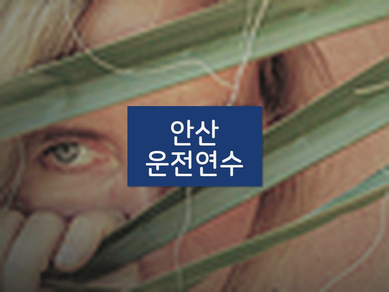 안산운전연수 후기