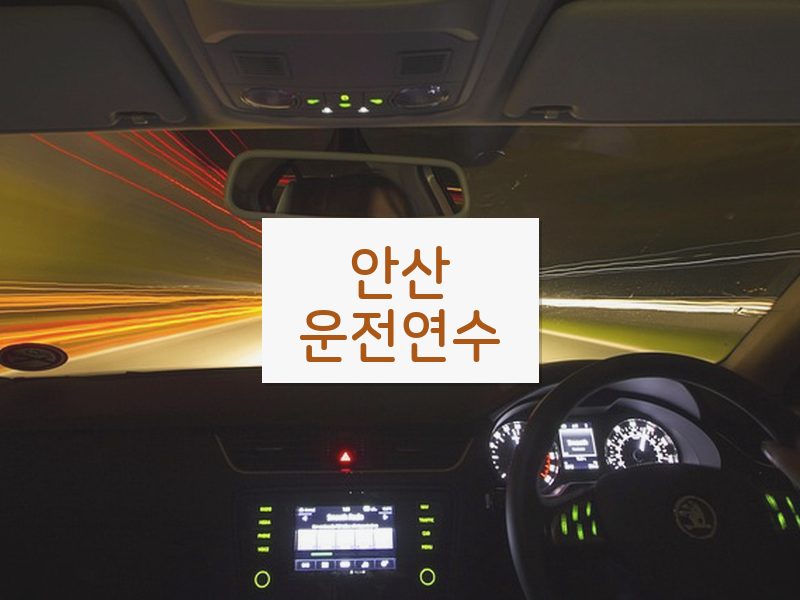 안산운전연수 후기