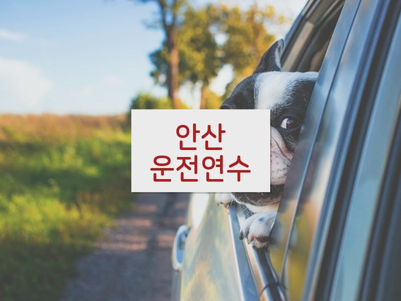 안산운전연수 후기