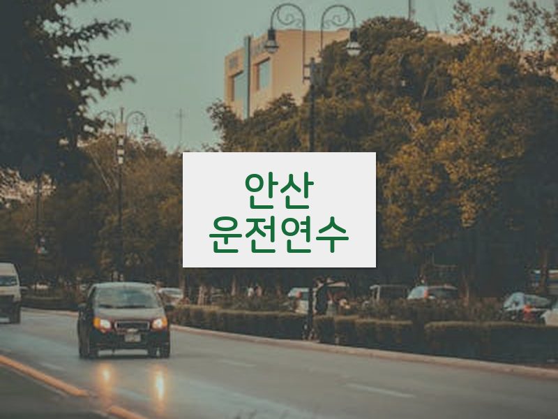 안산운전연수 후기