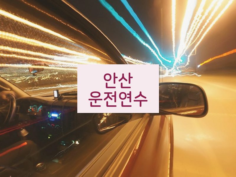 안산운전연수 후기