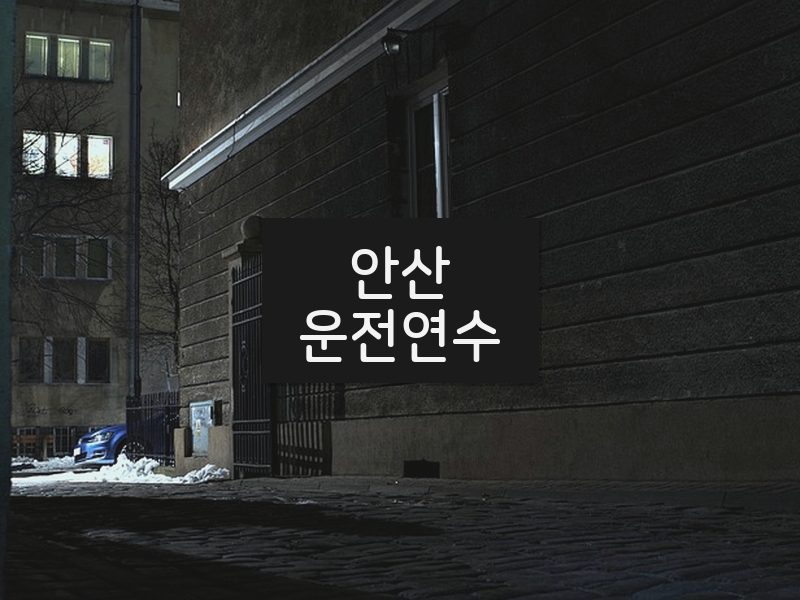 안산운전연수 후기