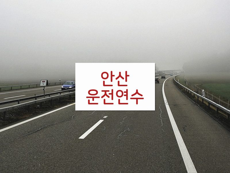 안산운전연수 후기