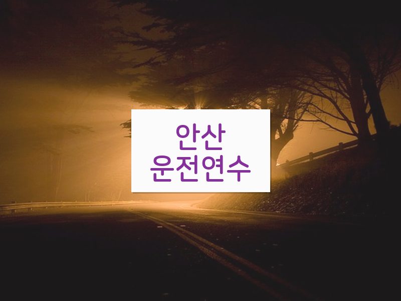 안산운전연수 후기