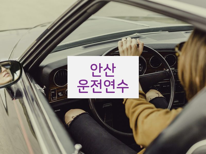 안산운전연수 후기