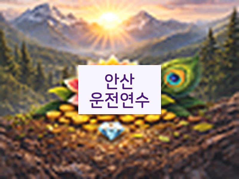 안산운전연수 후기