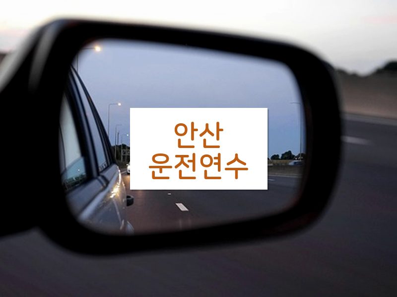 안산운전연수 후기