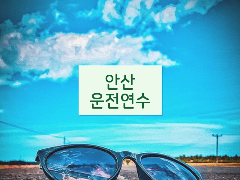 안산운전연수 후기