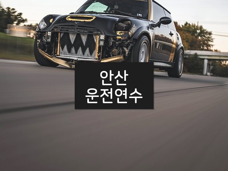 안산운전연수 후기
