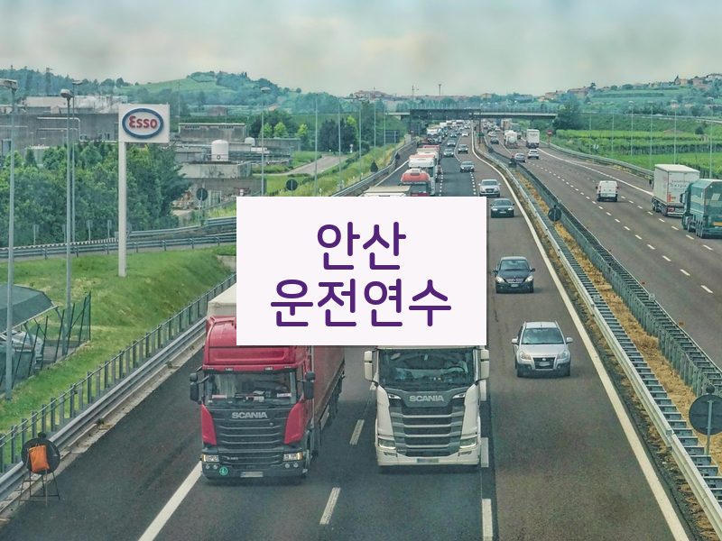 안산운전연수 후기