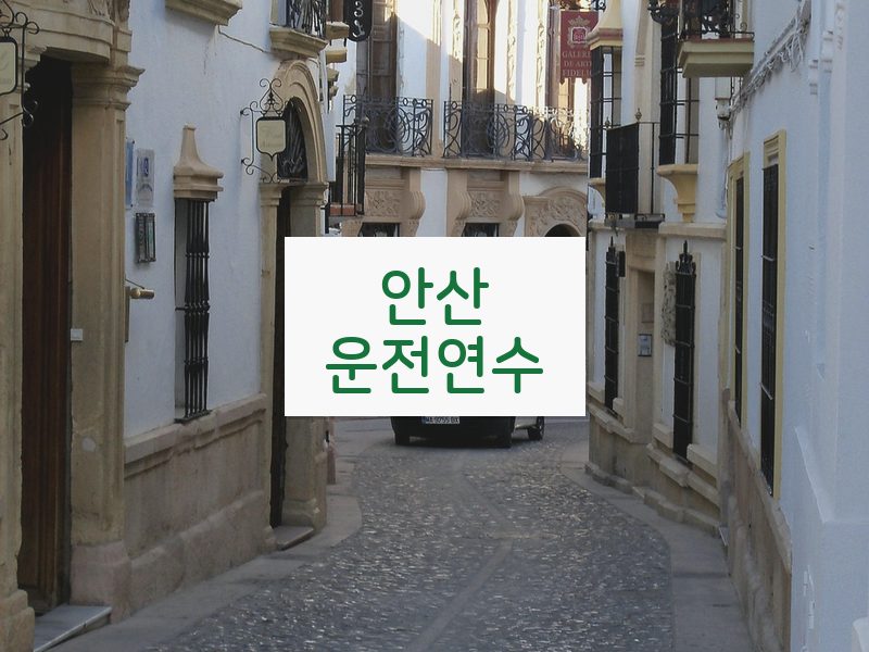 안산운전연수 후기