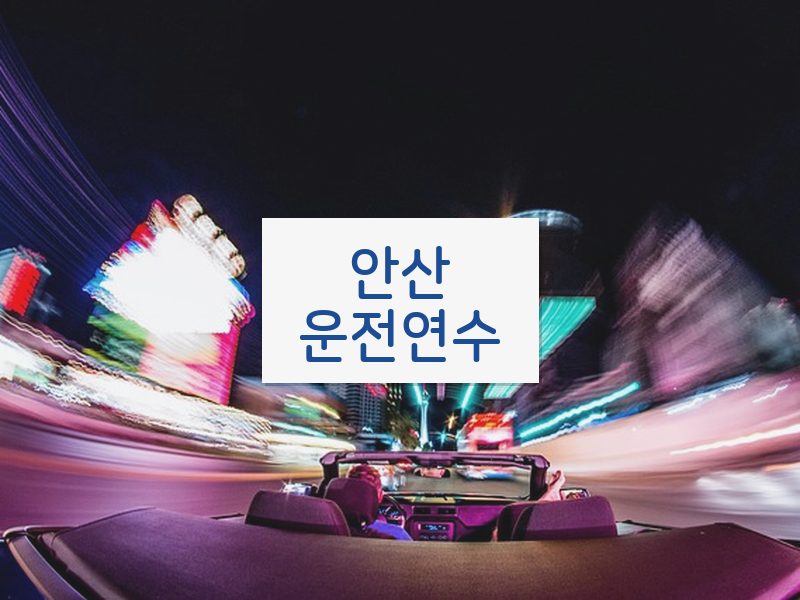 안산운전연수 후기