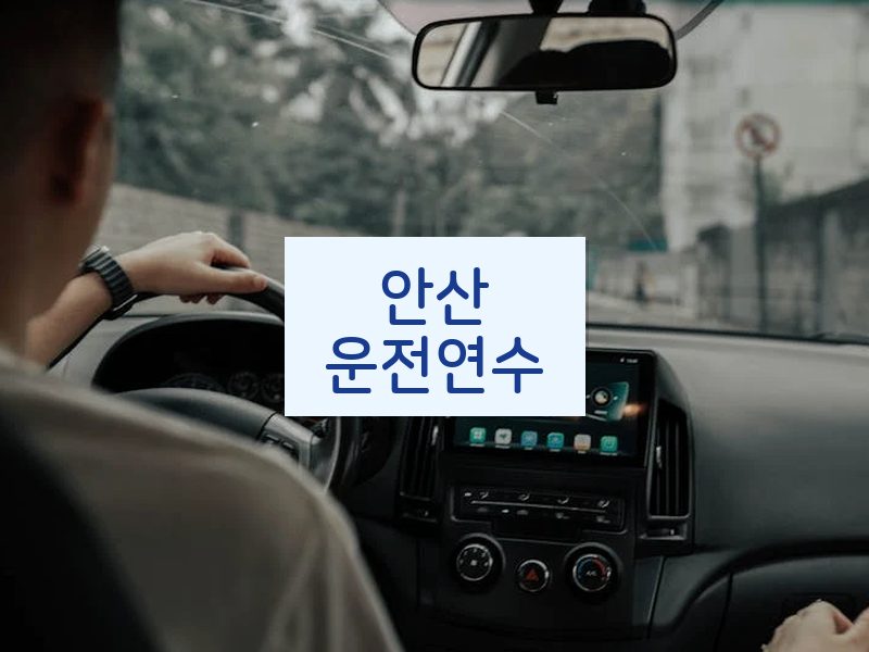 안산운전연수 후기
