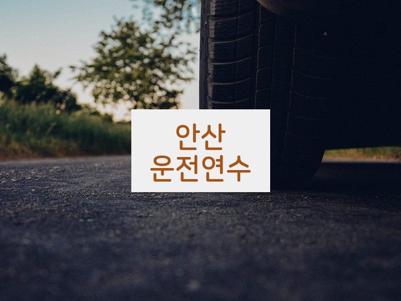 안산운전연수 후기
