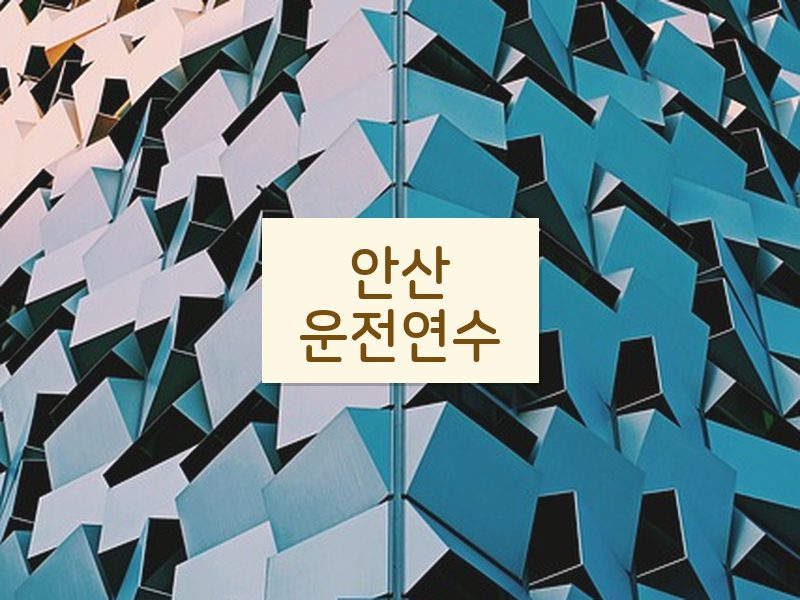 안산운전연수 후기