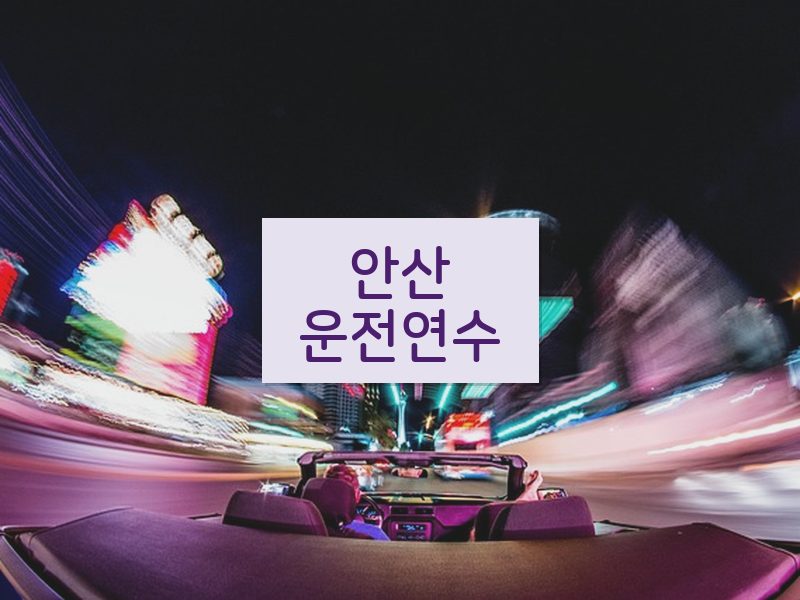 안산운전연수 후기