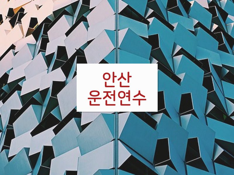안산운전연수 후기