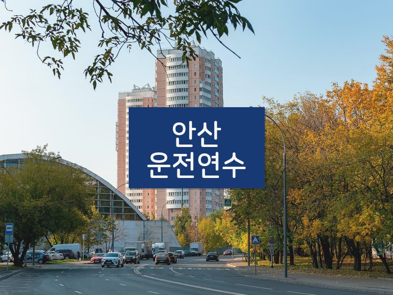 안산운전연수 후기